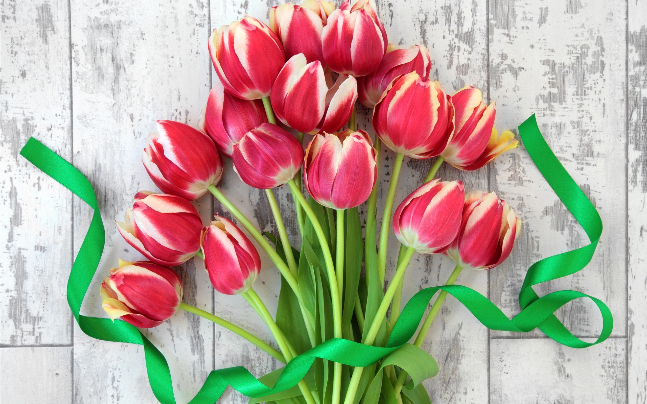 Red-tulips-bouquet-flowers-ribbon_2560x1600 (1)